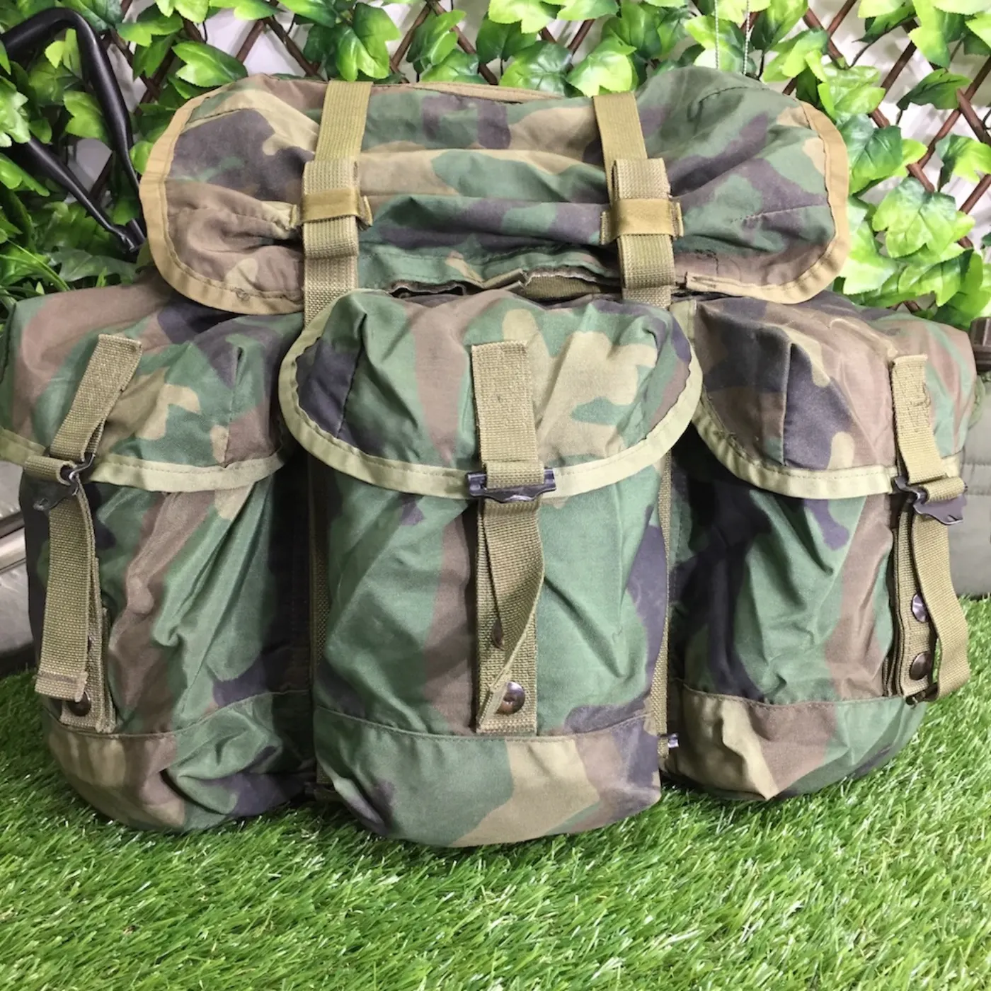 LC-2 アリスパック 中古品 記録写真1