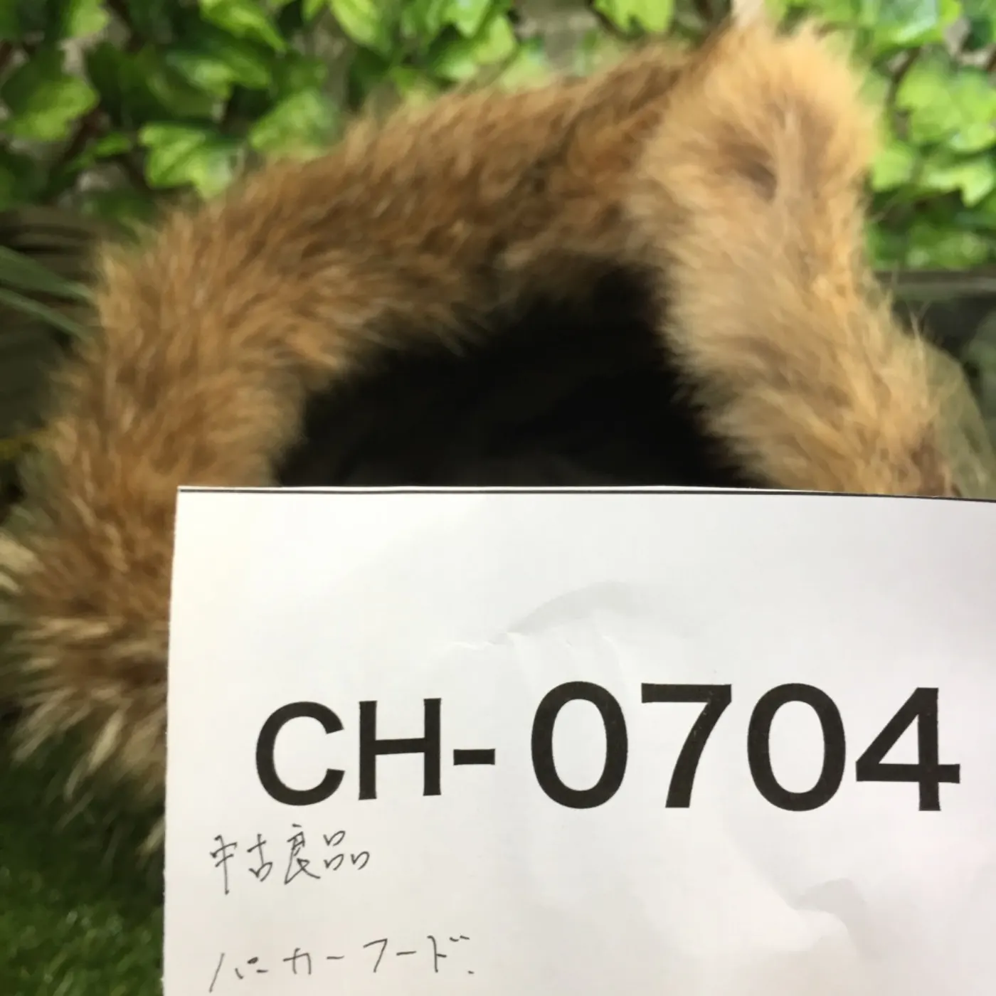 M-1952 コヨーテ パーカーフード 中古良品 記録写真7