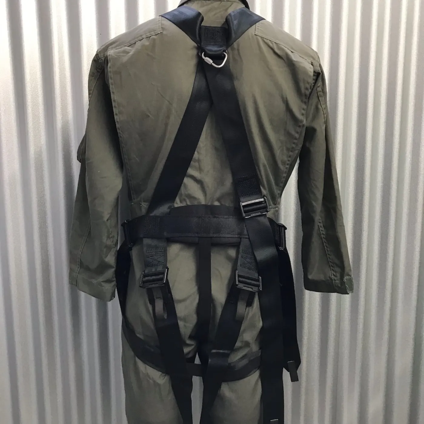 SCHROTH HARNESS 極上品 記録写真2