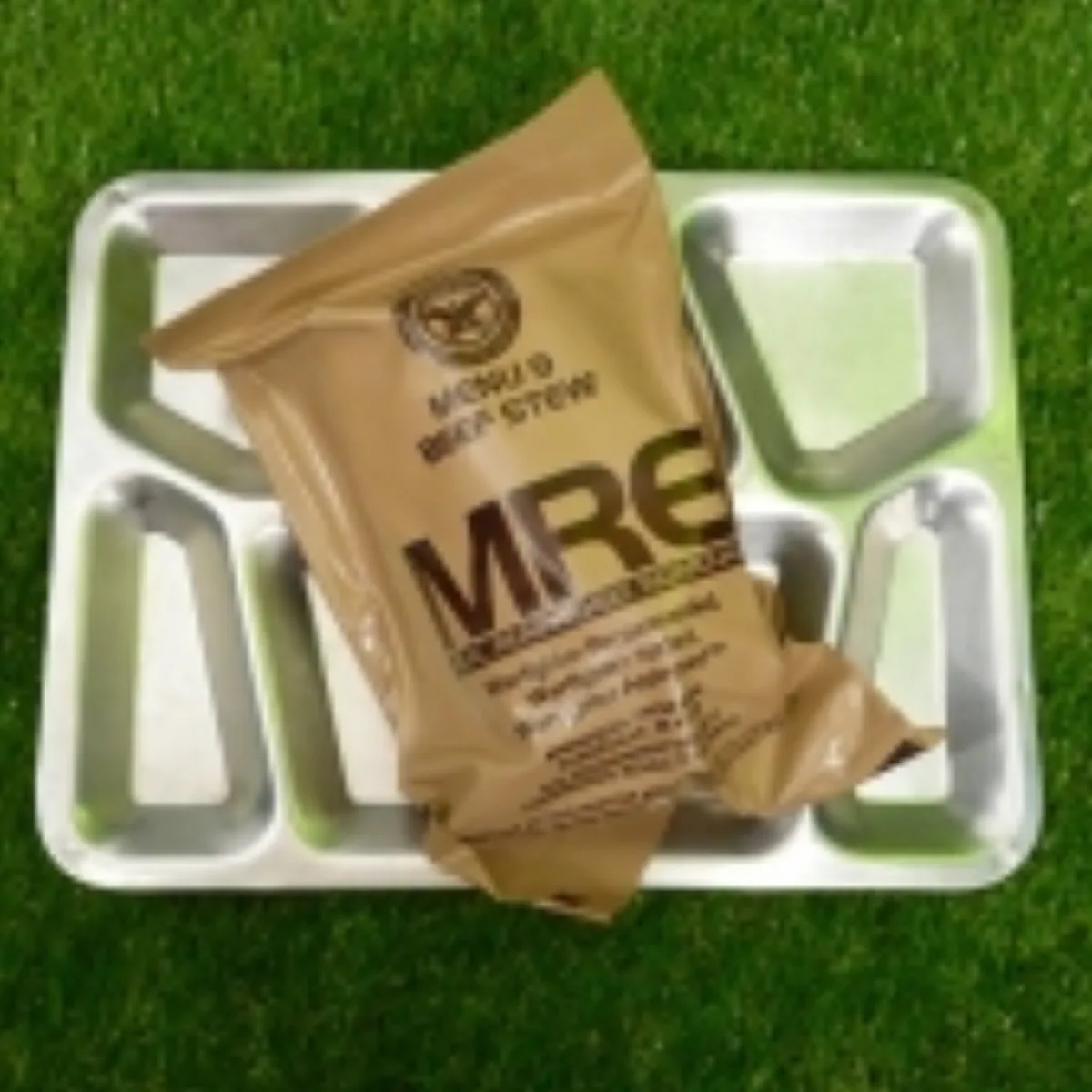 メストレー&MRE 1個のセット 記録写真1