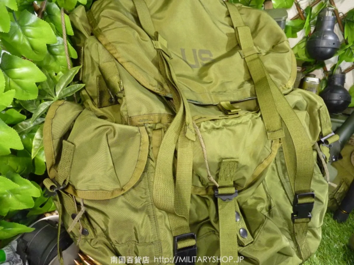 LC-1 アリスパック LARGE フレームセット 極上品 記録写真3