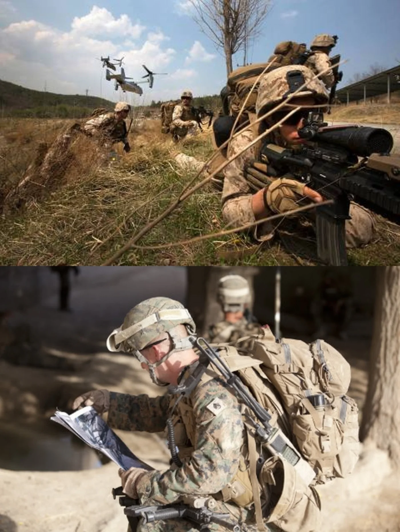 最新型 USMC アサルトパック コヨーテ 中古良品 記録写真2