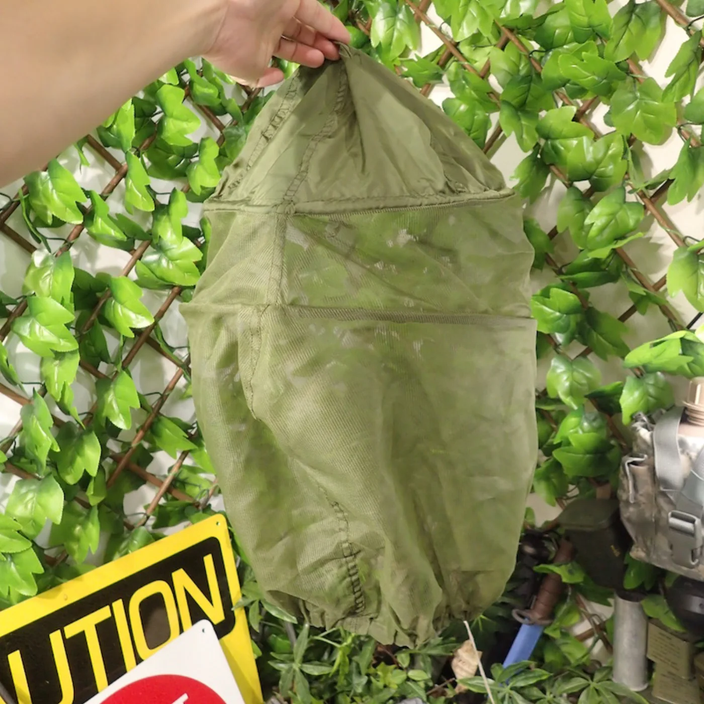 HEADNET INSECT 記録写真2