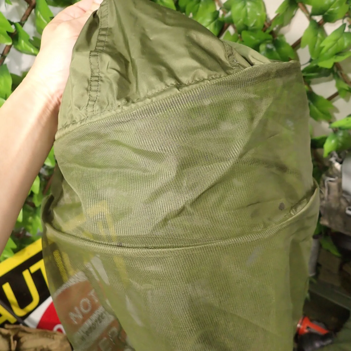 HEADNET INSECT 記録写真3