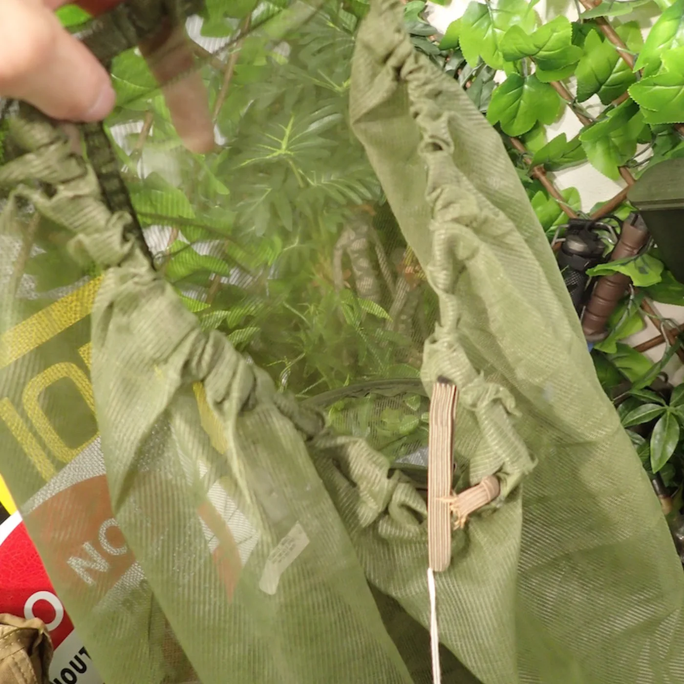 HEADNET INSECT 記録写真4