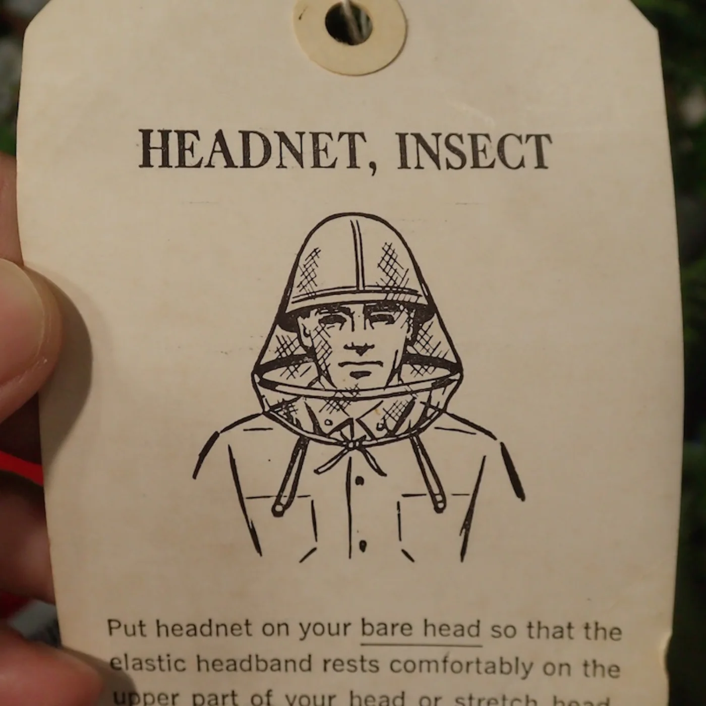 HEADNET INSECT 記録写真6