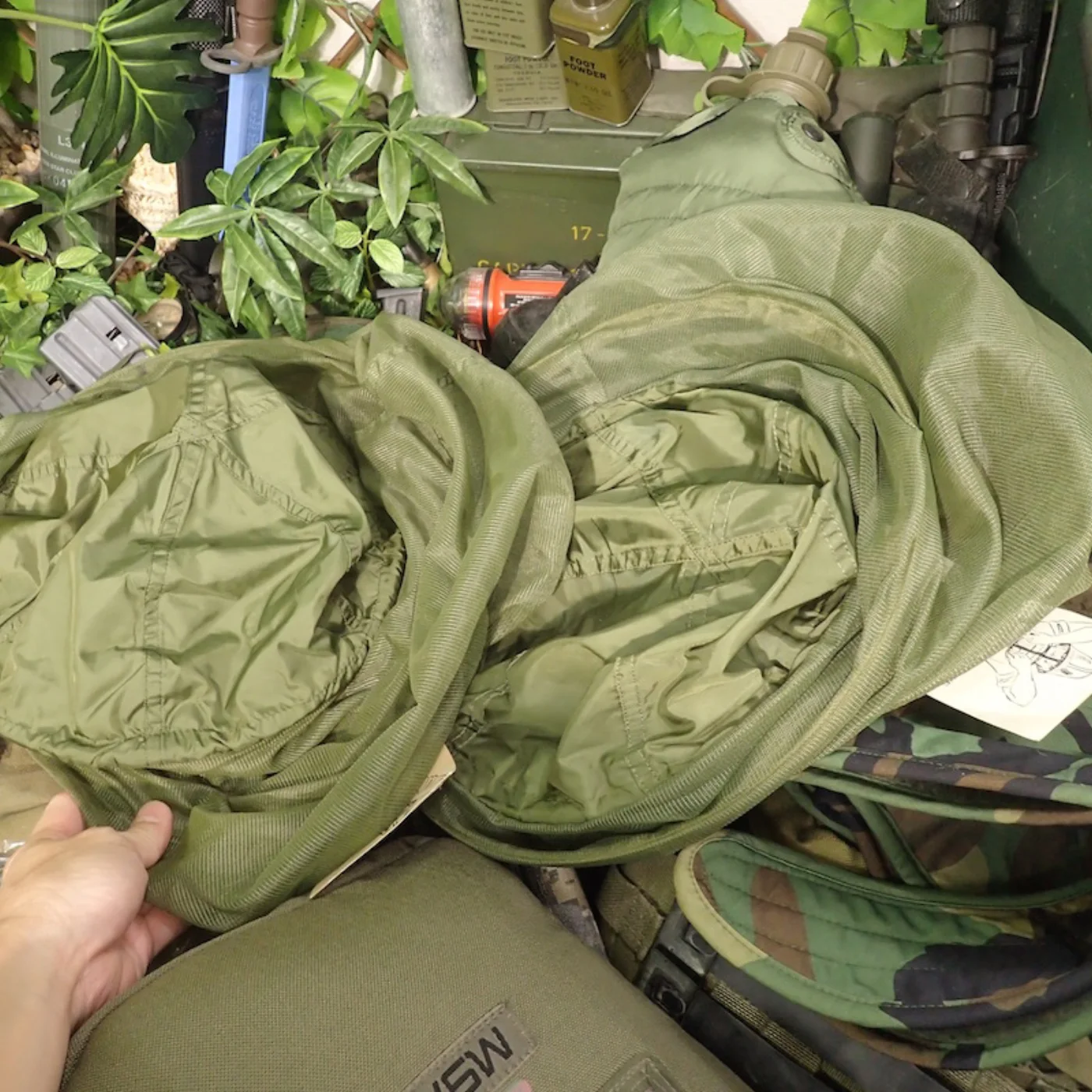HEADNET INSECT 記録写真7