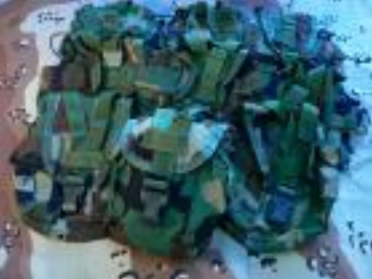 ミリタリーショップ 南国百貨店.COM|沖縄 MOLLE II POUCH CANTEEN CARRIER / UTIL 記録写真1
