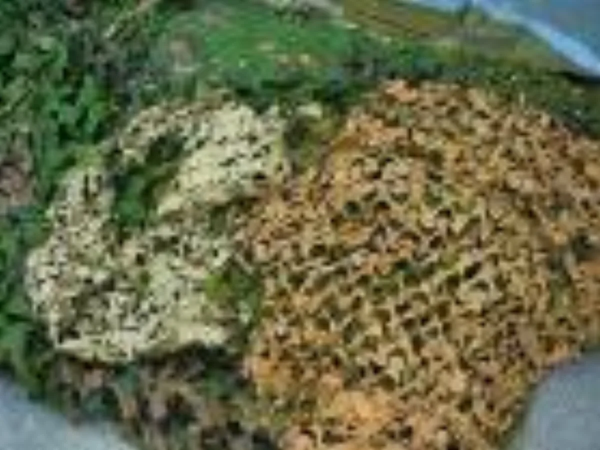 ミリタリーショップ 南国百貨店.COM|沖縄 カモフラージュネット 極上品 4.5M x 4.5M [ZZZ CNET- 記録写真3