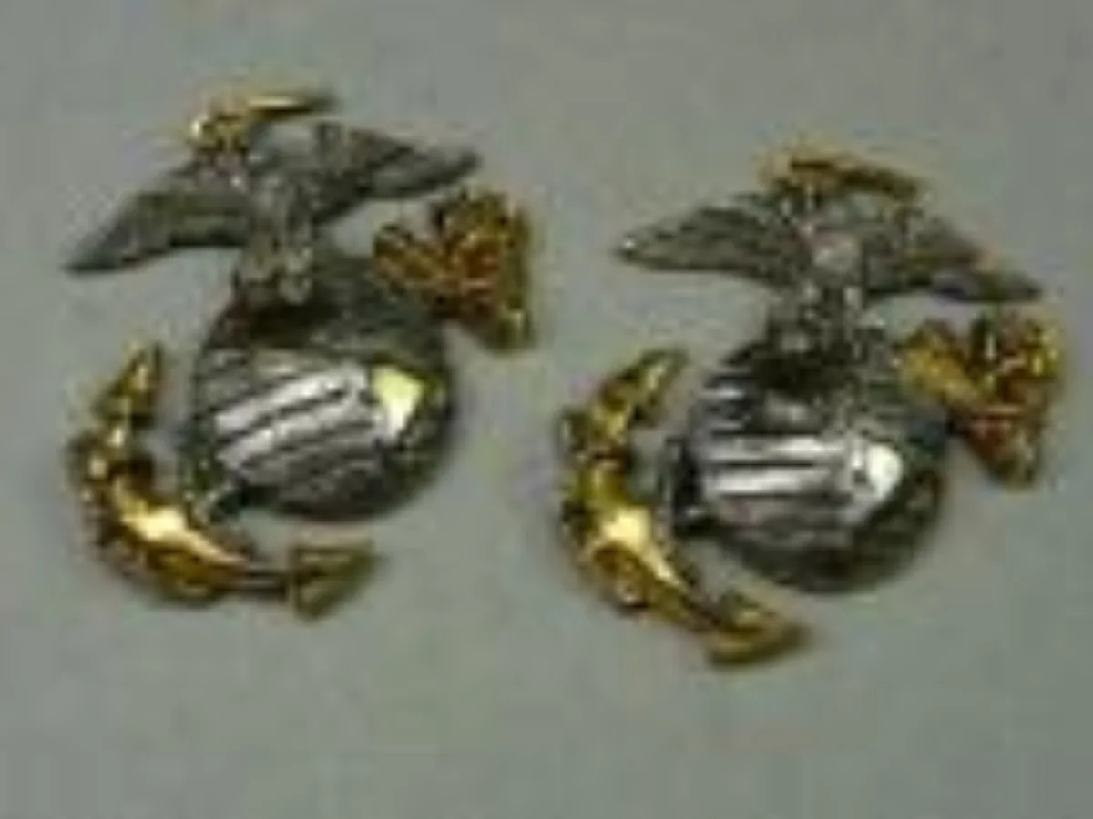 ミリタリーショップ 南国百貨店.COM|沖縄 USMC グローバルアンカー 2個 [ZZ X-356] - USMC グ 記録写真1