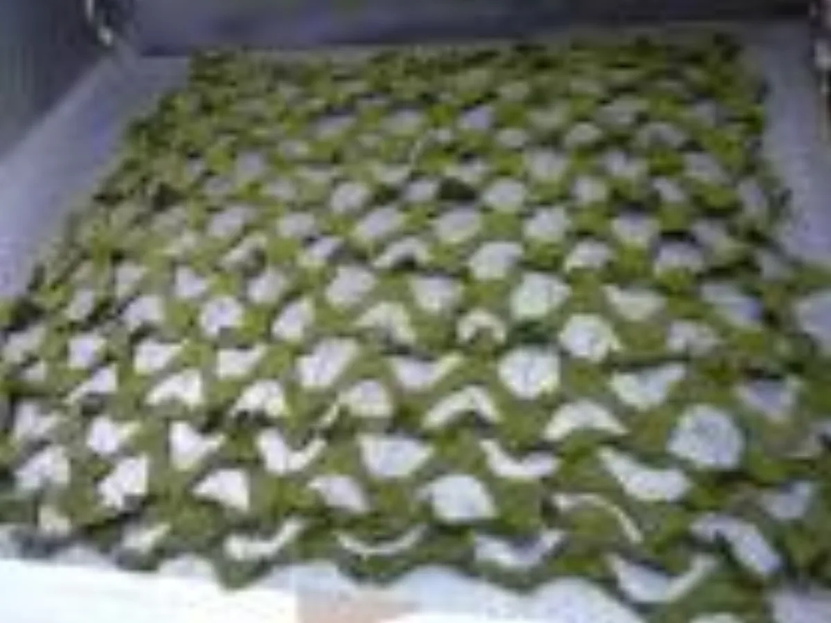 ミリタリーショップ 南国百貨店.COM|沖縄 偽装網 100cm×100cm [ZZ CNET-176] - 偽装網サイ 記録写真1
