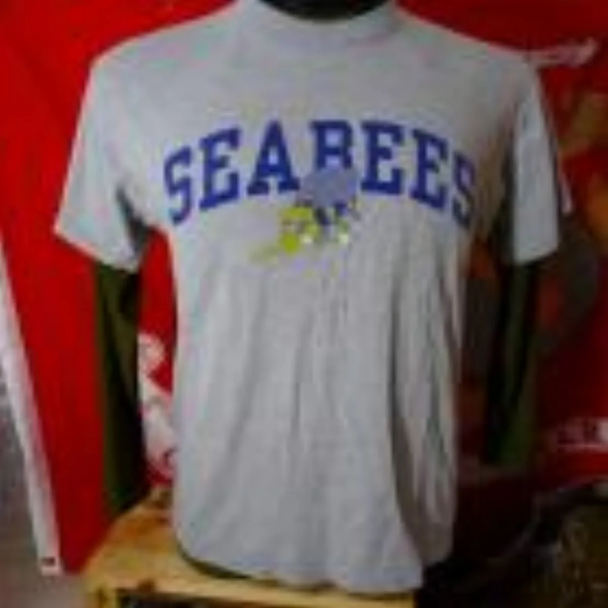 ミリタリーショップ 南国百貨店.COM|沖縄 U.S.NAVY SEABEES Tシャツ M [ZZ Q-1292] - 記録写真1