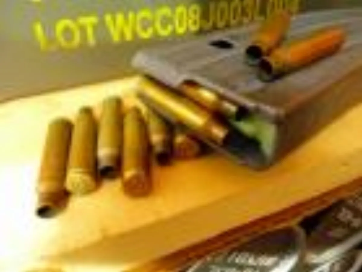 ミリタリーショップ 南国百貨店.COM|沖縄 M16 ３０連用マガジン 薬莢１０個付き [ZZ Q-1582] - M1 記録写真1