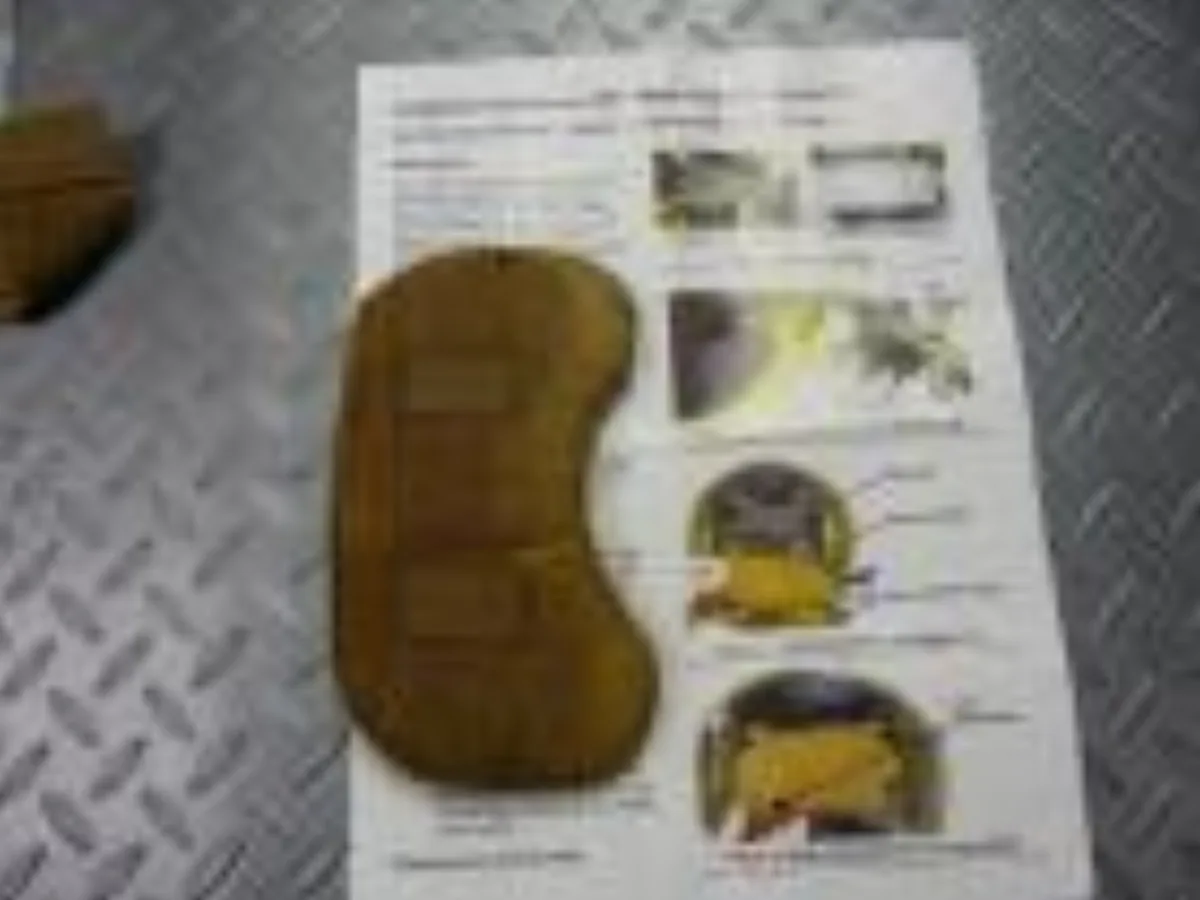ミリタリーショップ 南国百貨店.COM|沖縄 USMC Nape Protection Pad コヨーテ 中古 [ZZ 記録写真2