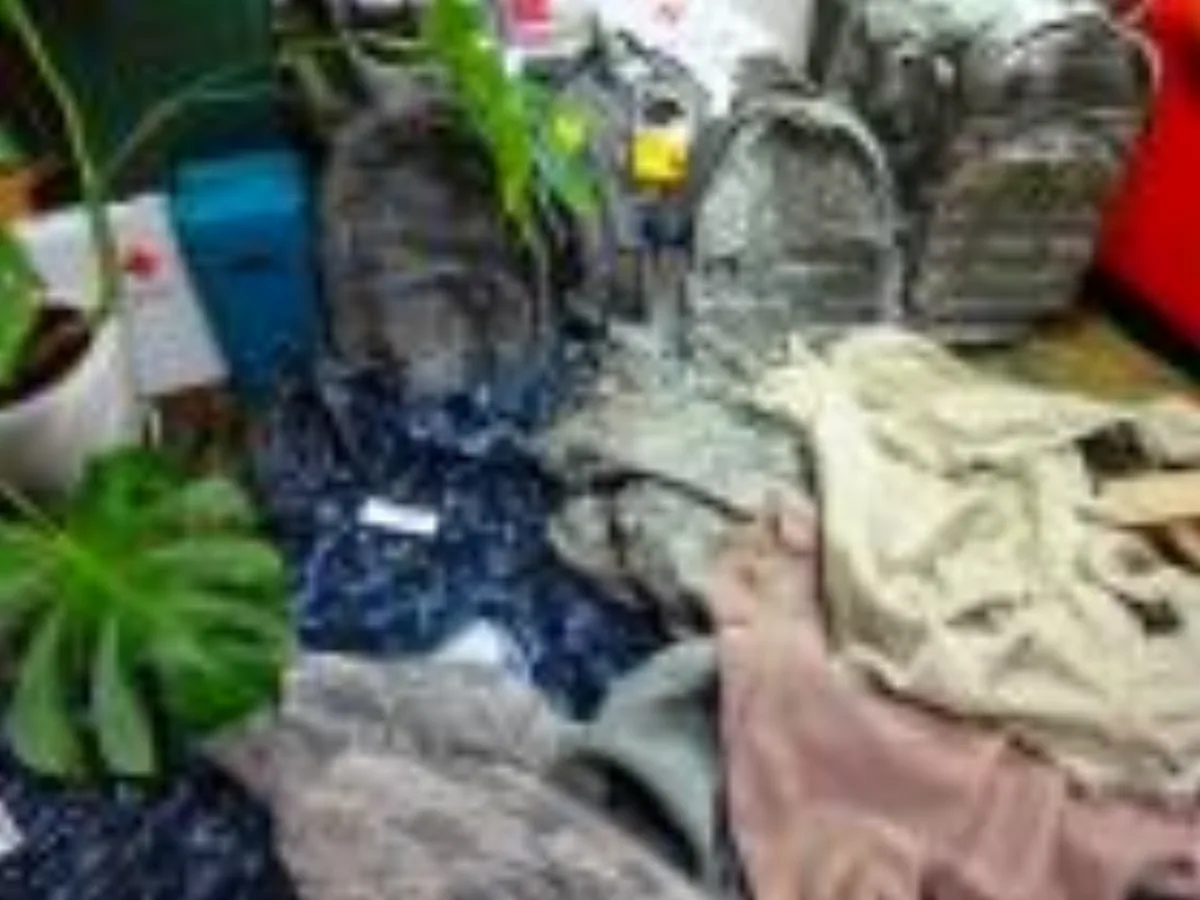 ミリタリーショップ 南国百貨店.COM|沖縄 最新ミリタリーグッズ仕入れ情報 2012.04.26 [Z 2012.04 記録写真1