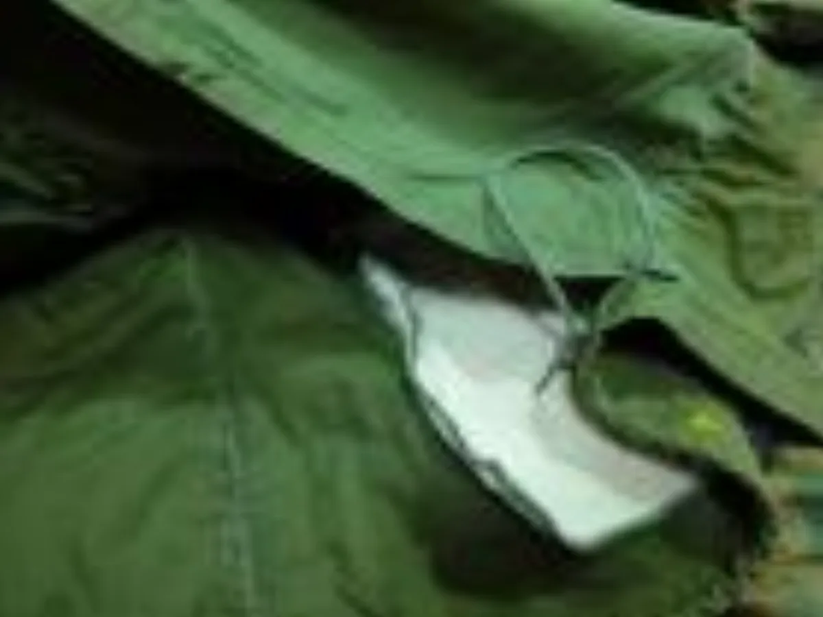 ミリタリーショップ 南国百貨店.COM|沖縄 M65 ジャケット L-L ジッパー不良 [ZZ Q-1901] - M6 記録写真5