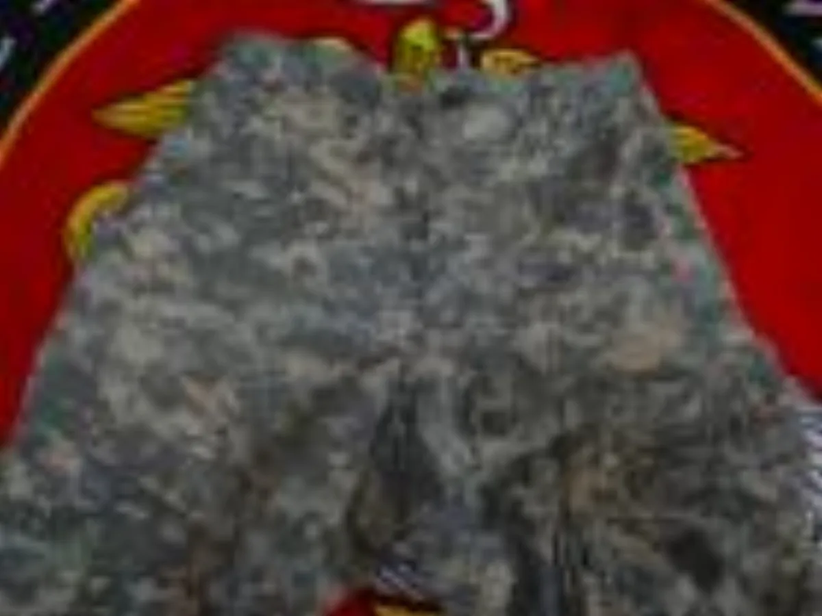 ミリタリーショップ 南国百貨店.COM|沖縄 ARMY ACU パンツ XS-R 中古 [ZZ Q-1934] - AR 記録写真4