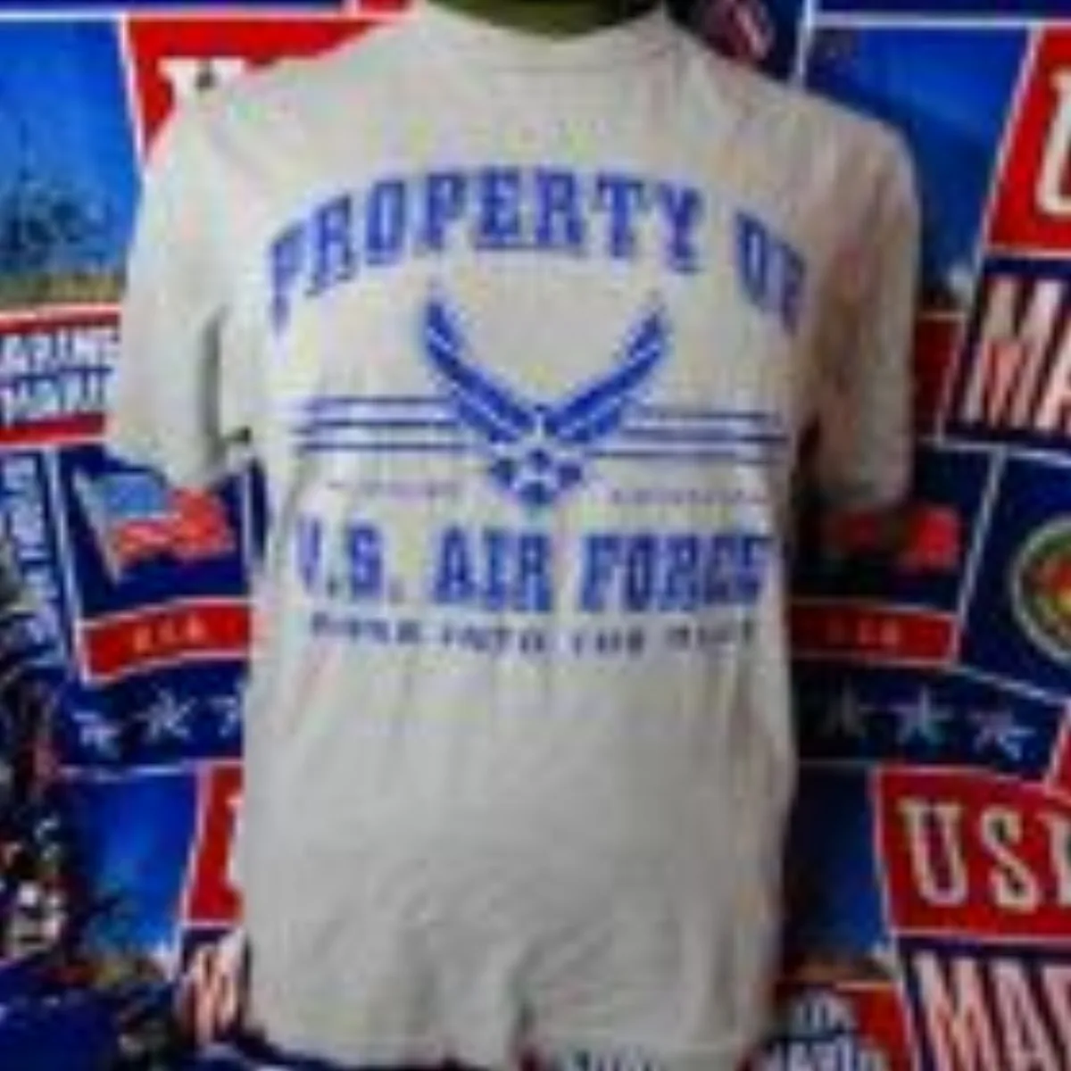 ミリタリーショップ 南国百貨店.COM|沖縄 U.S.AIR FORCE L コットン90% ポリエステル10% [ZZ 記録写真1