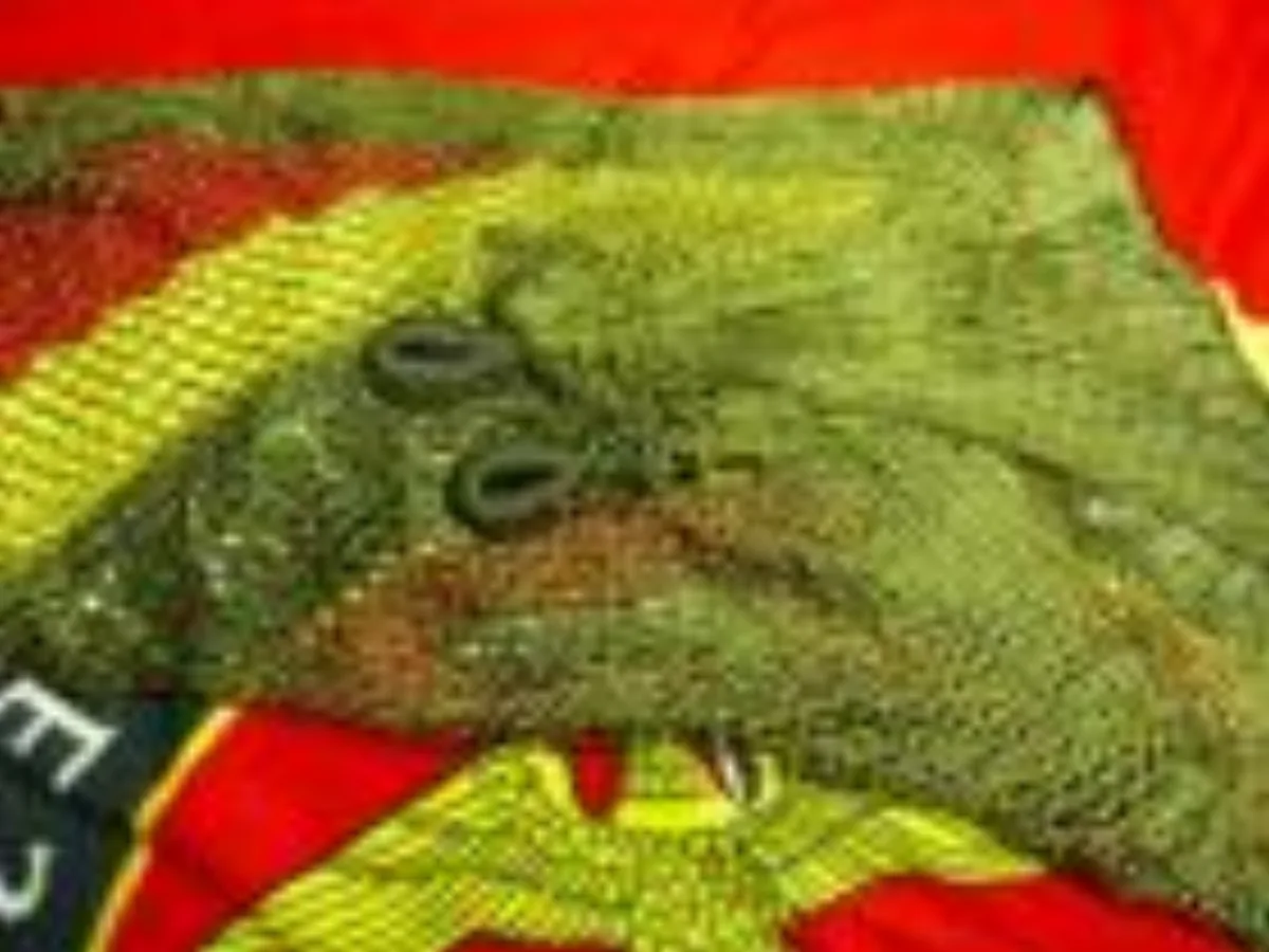 ミリタリーショップ 南国百貨店.COM|沖縄 米軍 ハンモック 未使用品 OD [ZZ Q-1984] - 米軍 ハンモ 記録写真1