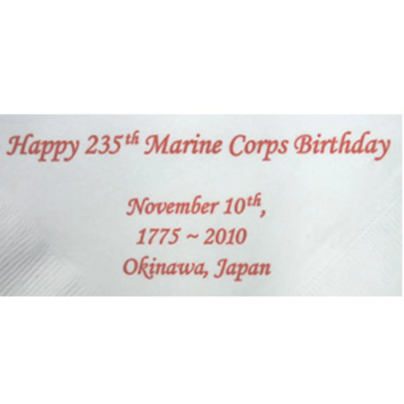ミリタリーショップ 南国百貨店.COM|沖縄 USMC グローバルアンカー ナプキン １０枚セット [ZZ Q-2089 記録写真3