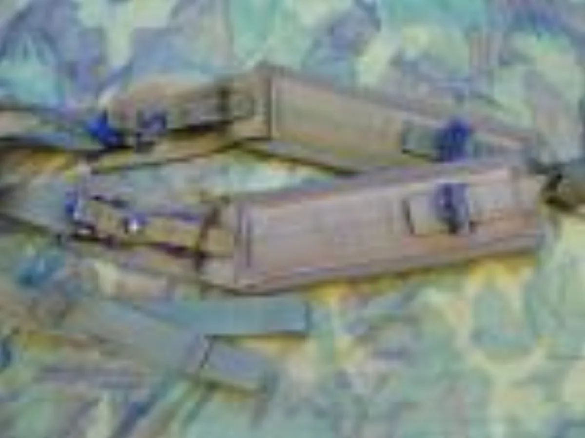 ミリタリーショップ 南国百貨店.COM|沖縄 アリスパックのショルダーベルト 良品 [Z E-621] - アリスパック 記録写真1