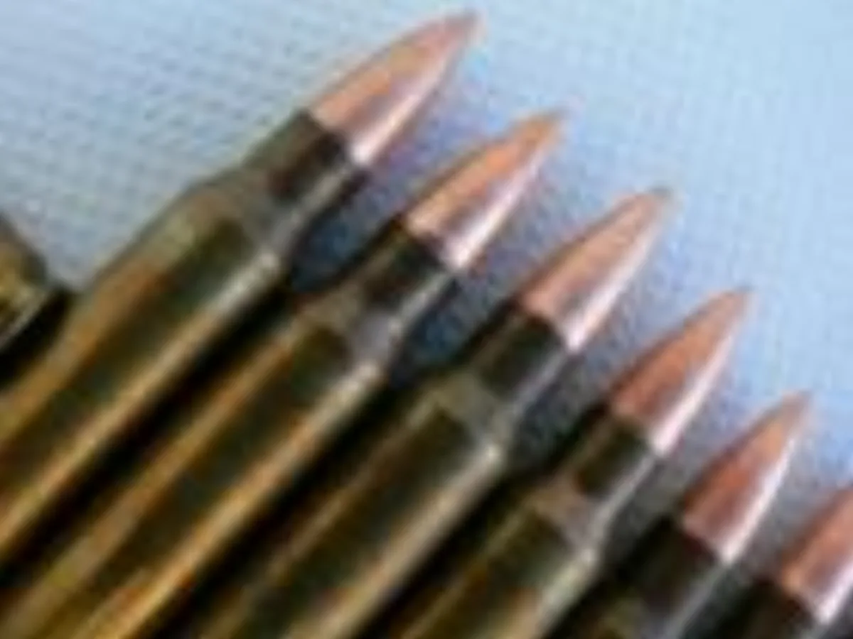 ミリタリーショップ 南国百貨店.COM|沖縄 薬莢 + ダミー弾頭 １発 [D-1022] - 薬莢 + ダミー弾頭 １ 記録写真2