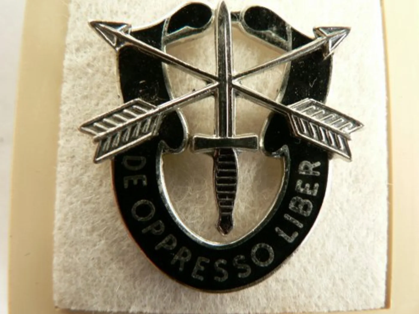 ミリタリーショップ 南国百貨店.COM|沖縄 DE OPPRESSO LIBER : US ARMY Special F 記録写真5