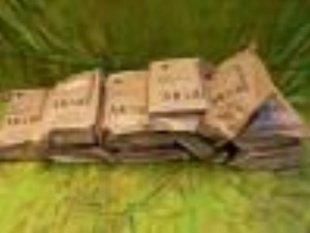 ミリタリーショップ 南国百貨店.COM|沖縄 【わけあり特価品】MRE・Cレーション １ケース 未開封 [MRE] - 記録写真1