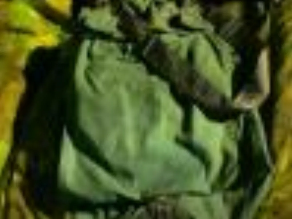 ミリタリーショップ 南国百貨店.COM|沖縄 パラシュートバッグ [A-263] - パラシュートバッグショルダー付き米 記録写真1