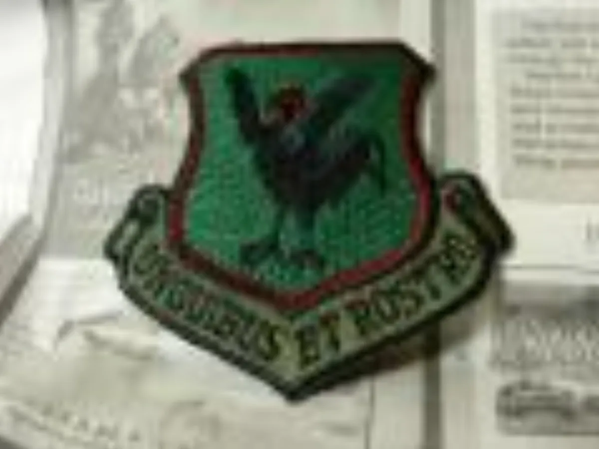 ミリタリーショップ 南国百貨店.COM|沖縄 ミリタリー ワッペン [Y-153] - 米軍放出品 記録写真1