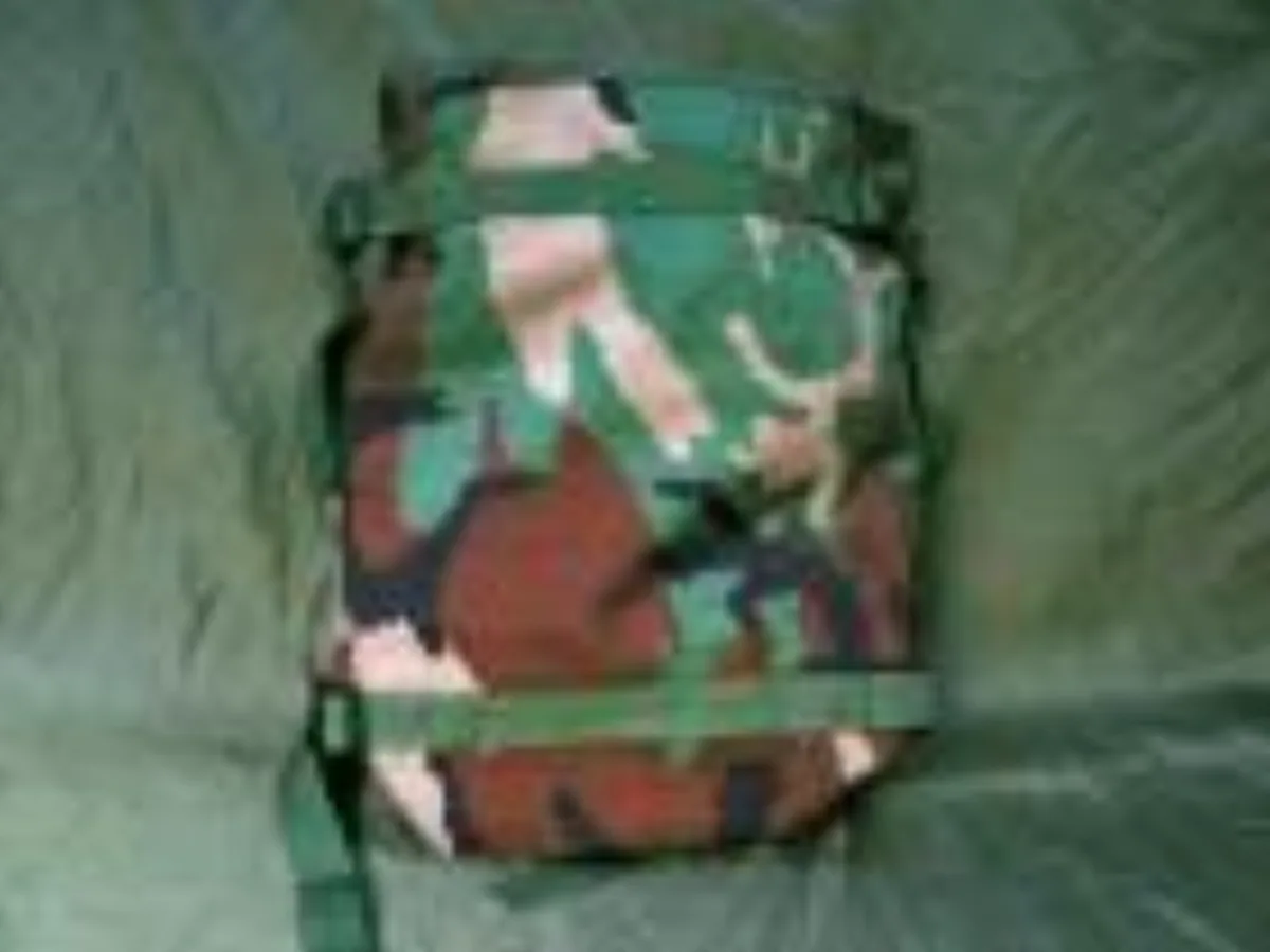 ミリタリーショップ 南国百貨店.COM|沖縄 MOLLE II POUCH RADIO [F-240] - MOLLE 記録写真2