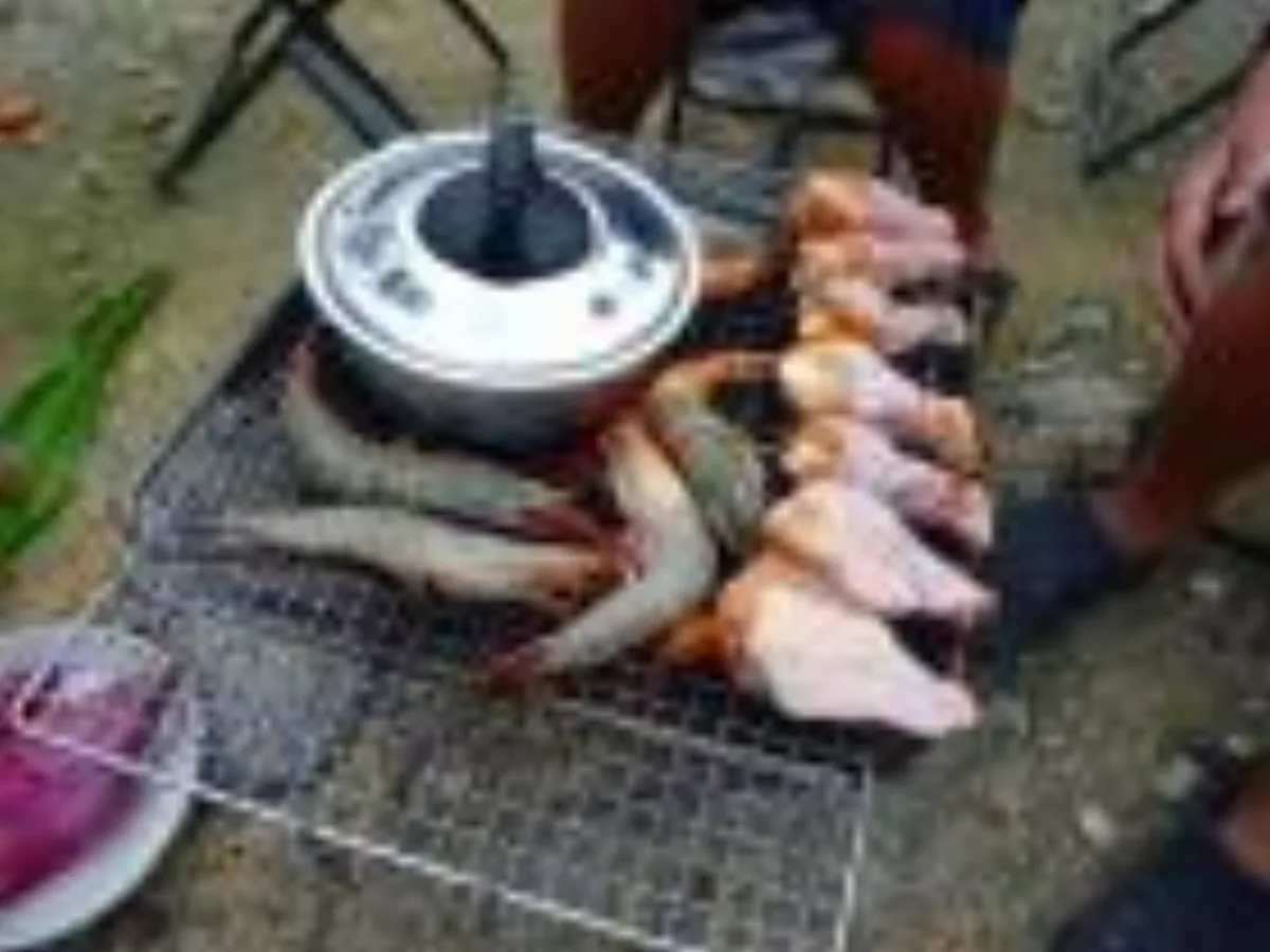 ミリタリーショップ 南国百貨店.COM|沖縄 実家で(BBQ)バーベキュー [09.11.28] - 実家で久しぶりにB 記録写真1