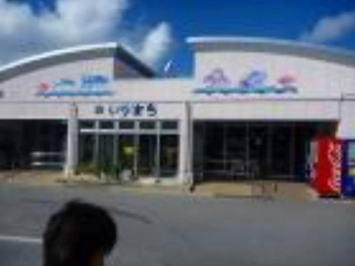 ミリタリーショップ 南国百貨店.COM|沖縄 屋我地島（正確には奥武島’おうじま’）で釣りキャンプ 09.11.22 [ 記録写真2
