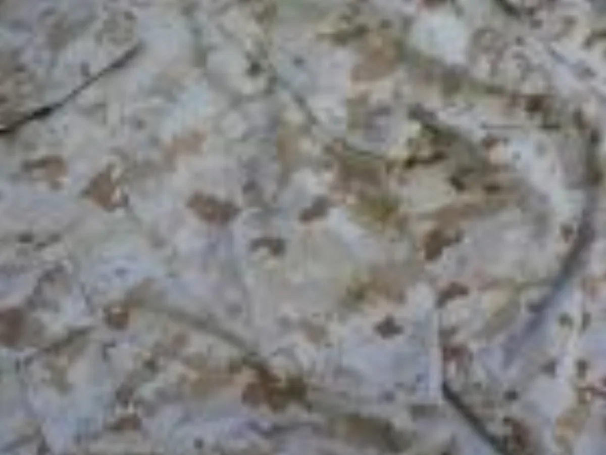 ミリタリーショップ 南国百貨店.COM|沖縄 マーパット デザート パンツ S-R USMC 海兵隊 新型迷彩服 デザー 記録写真4