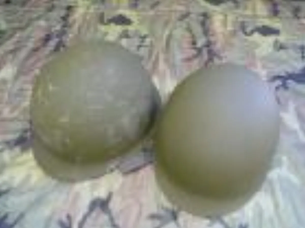 ミリタリーショップ 南国百貨店.COM|沖縄 M1スチールヘルメット （M2ヘルメット） [B-930] - M1スチー 記録写真1