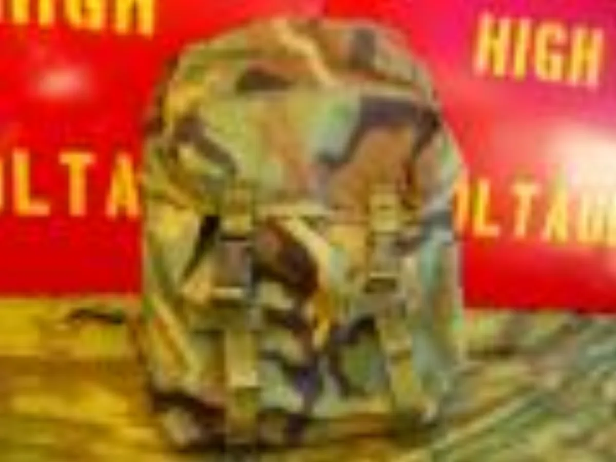 ミリタリーショップ 南国百貨店.COM|沖縄 MOLLE PACK,PATROL [F-324] - MOLLE PAC 記録写真1