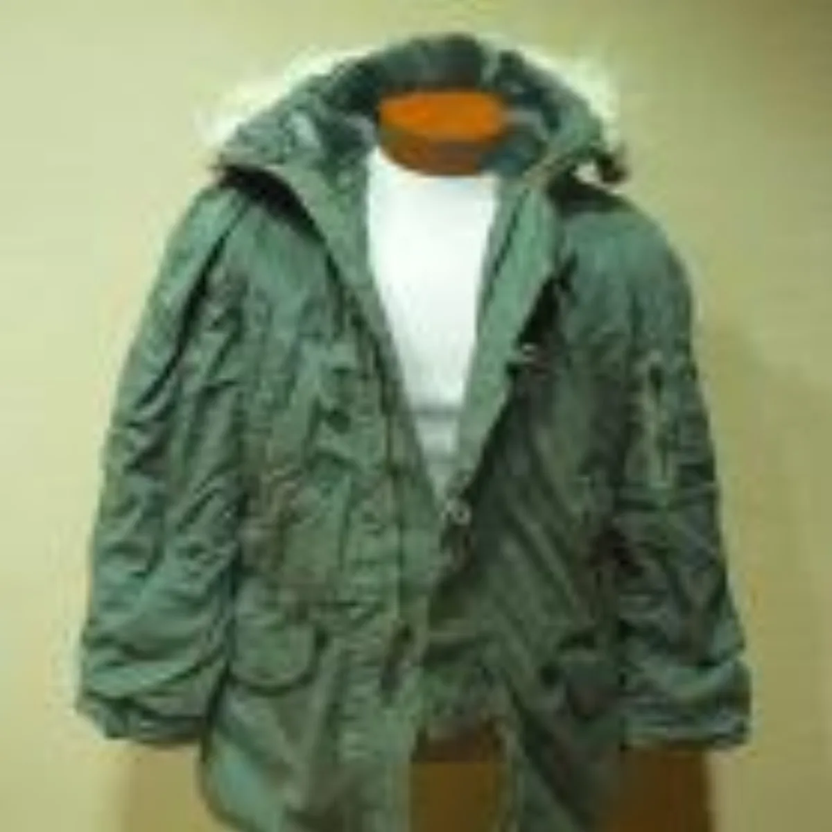 ミリタリーショップ 南国百貨店.COM|沖縄 米軍実物 N-3B ジャケット DSA77年 -S- [GEN-204] 記録写真1