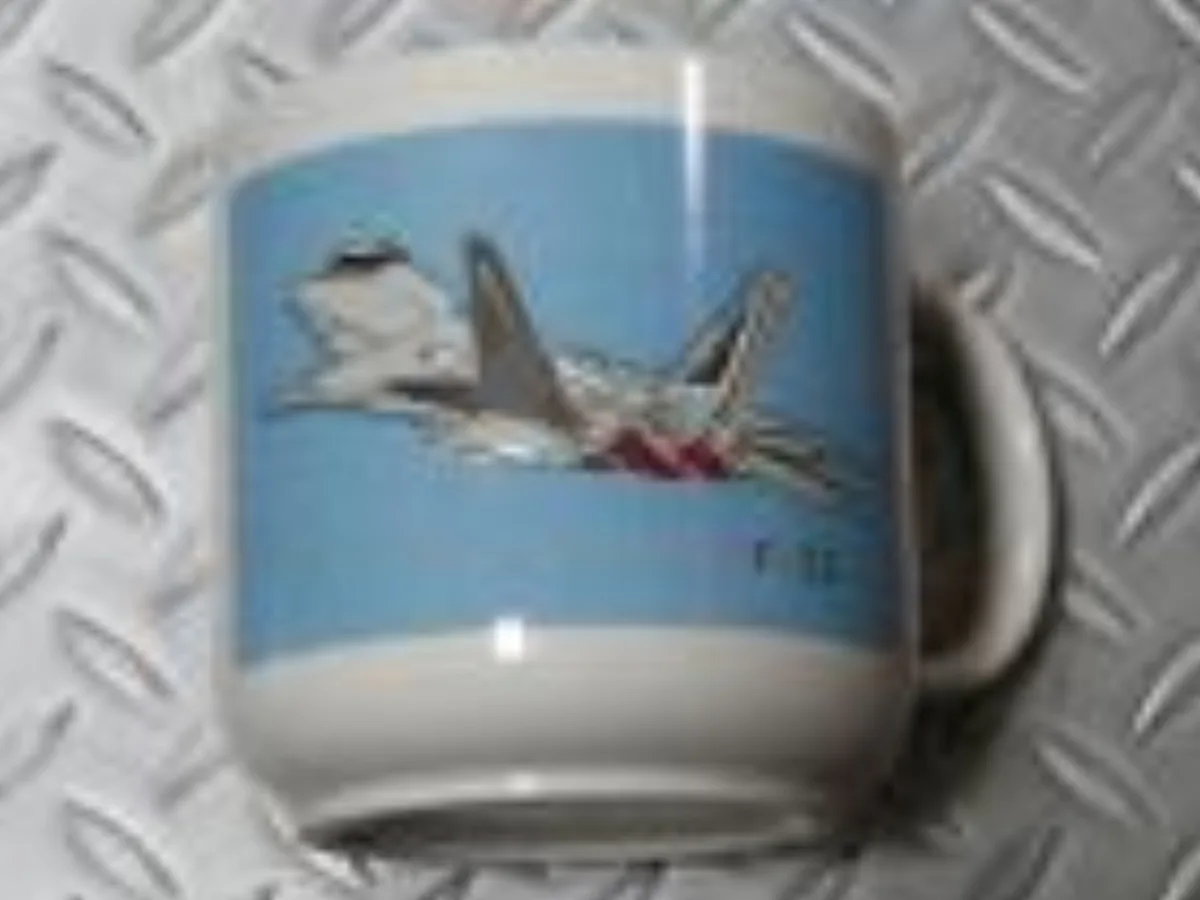 ミリタリーショップ 南国百貨店.COM|沖縄 大きな F-22 マグカップ 直径１０ｃｍ [Q-446] - 大きな F 記録写真1